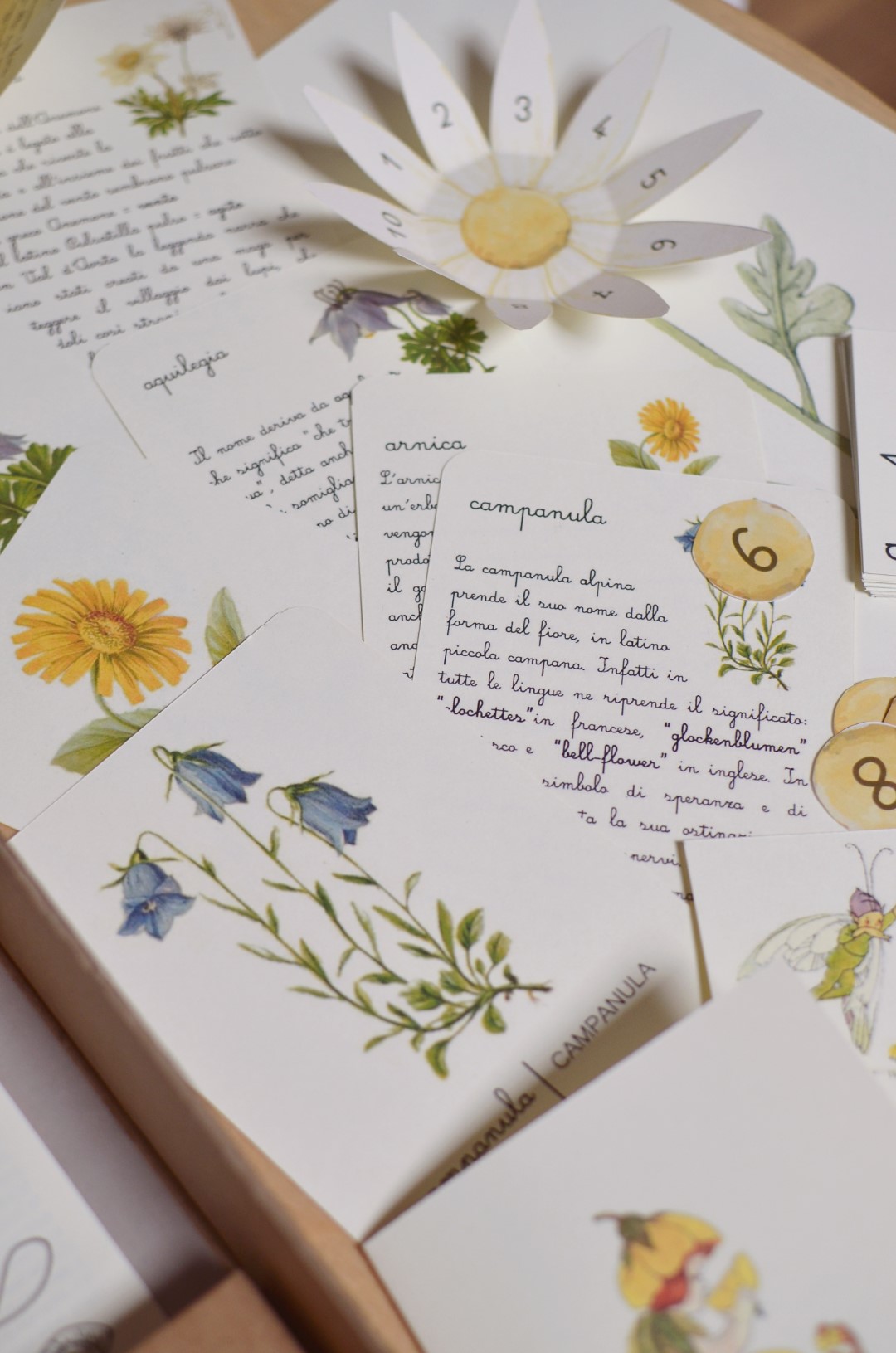 PlayKitBaboo Storie di fiori di montagna kit creativo agosto