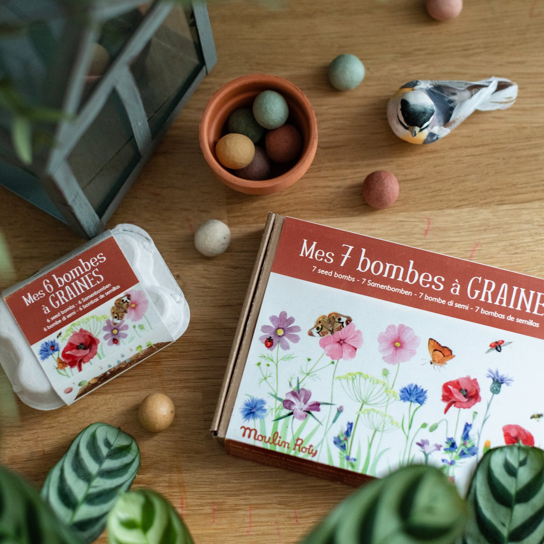 Moulin Roty Le Jardin bombe semi bio Fiori 6 pezzi
