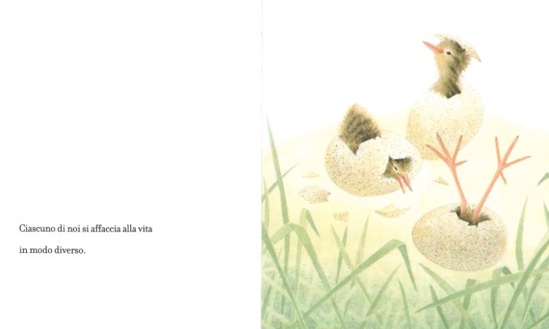 Clavis Lezioni di Volo Libro Illustrato 48 Pagine