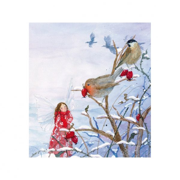 Daniela Drescher Little Fairy’s Christmas libro rilegato 20 pagine