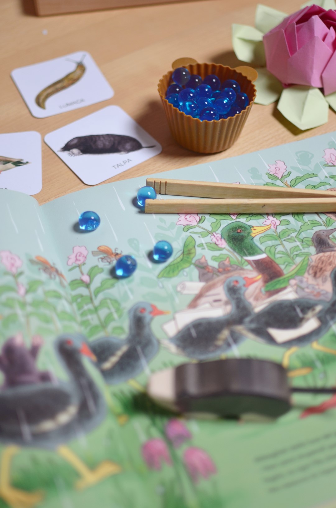 PlayKitBaboo Magda kit piccolo mondo dello stagno