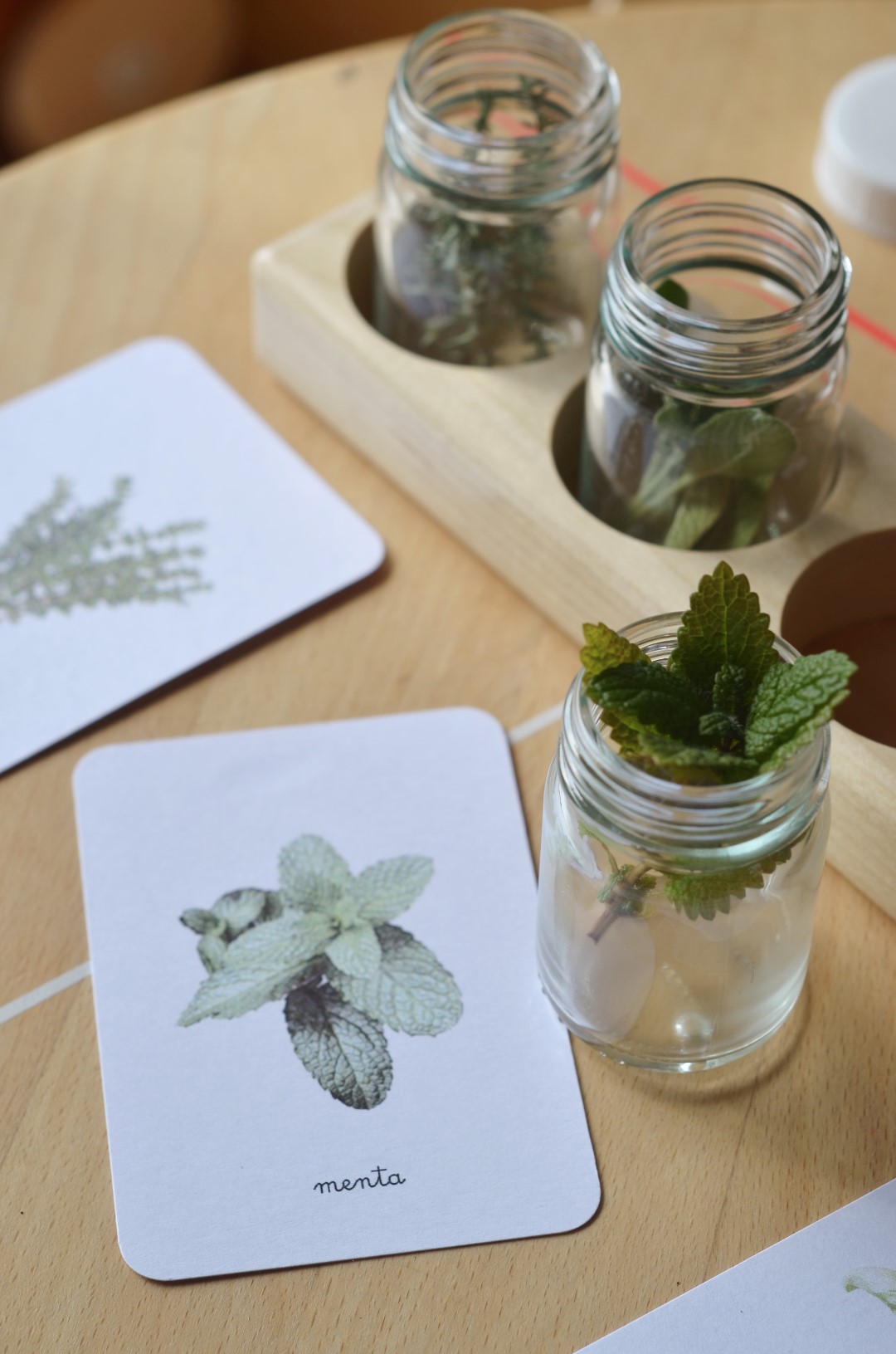 Baboo Erbe aromatiche carte nomenclature montessori pdf