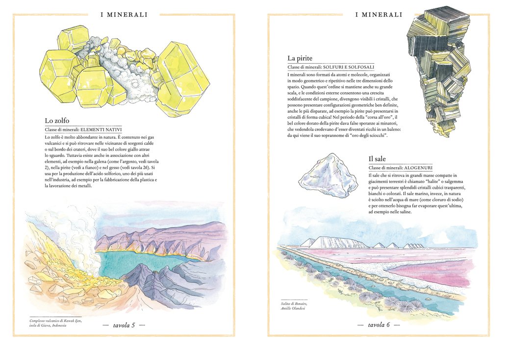 L'Ippocampo Inventario minerali libro da 6 anni