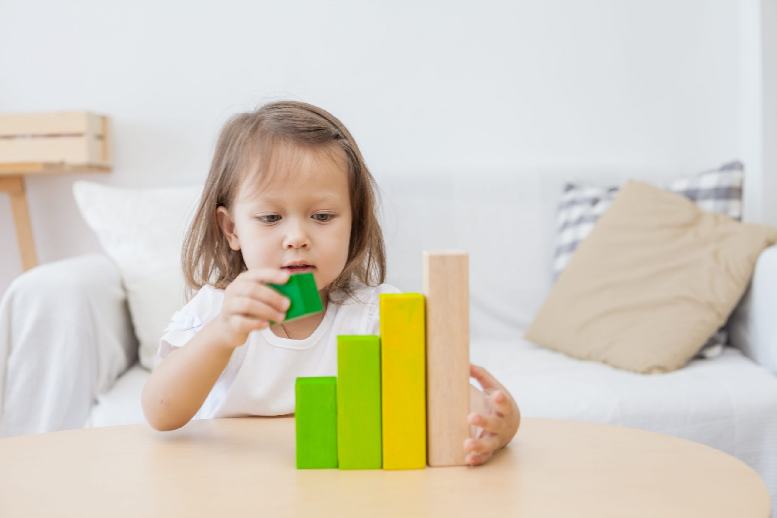 Plan Toys Ordering Blocks gioco matematico in legno