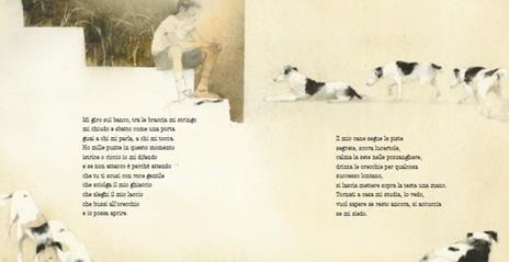 Topipittori Poesie della notte, del giorno libro rigido 56 pagine