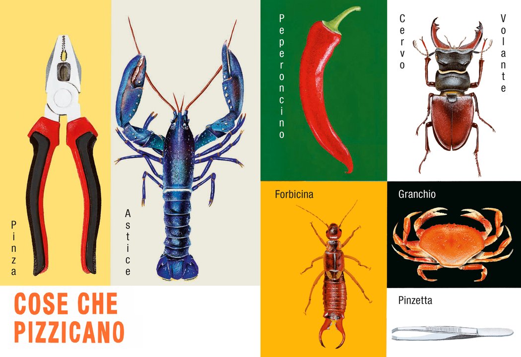 Cose così cose cosà libro illustrato 3-6 anni