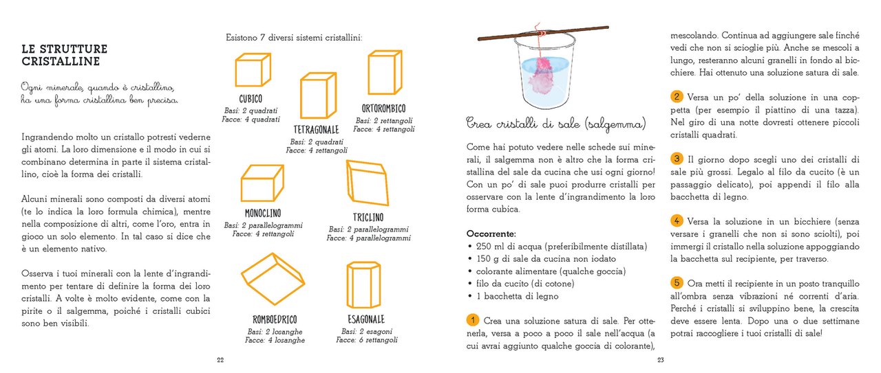 L'Ippocampo Montessori Cofanetto dei Minerali cofanetto 20 pietre