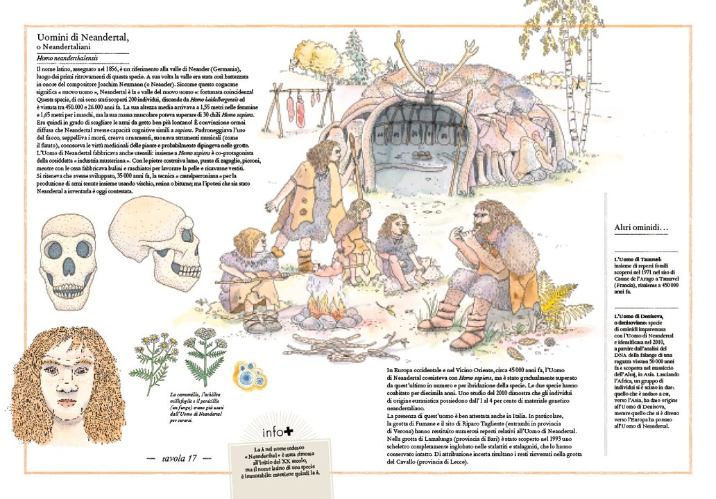 L'Ippocampo Inventario Illustrato Preistoria libro cartonato 6-9 anni