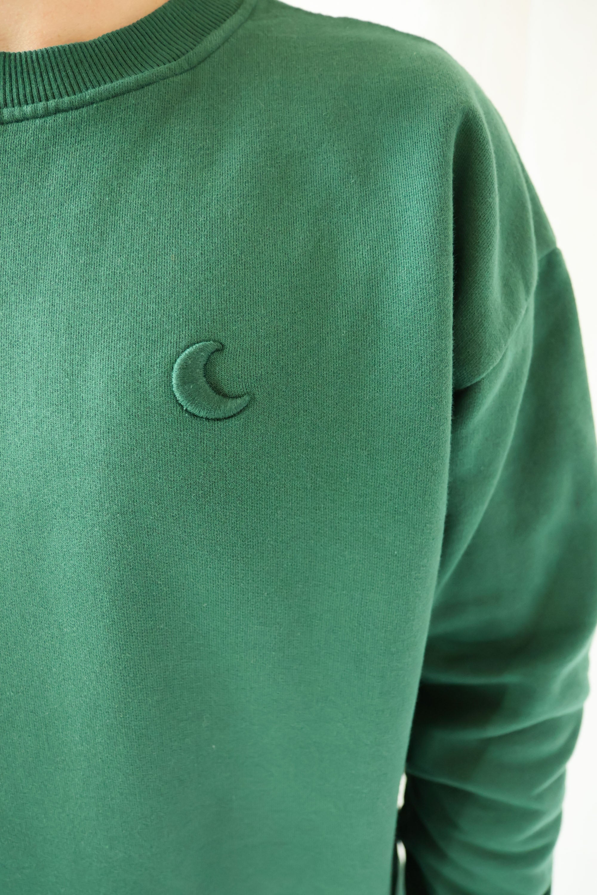 Ella and Rapha MOON felpa uomo verde in cotone