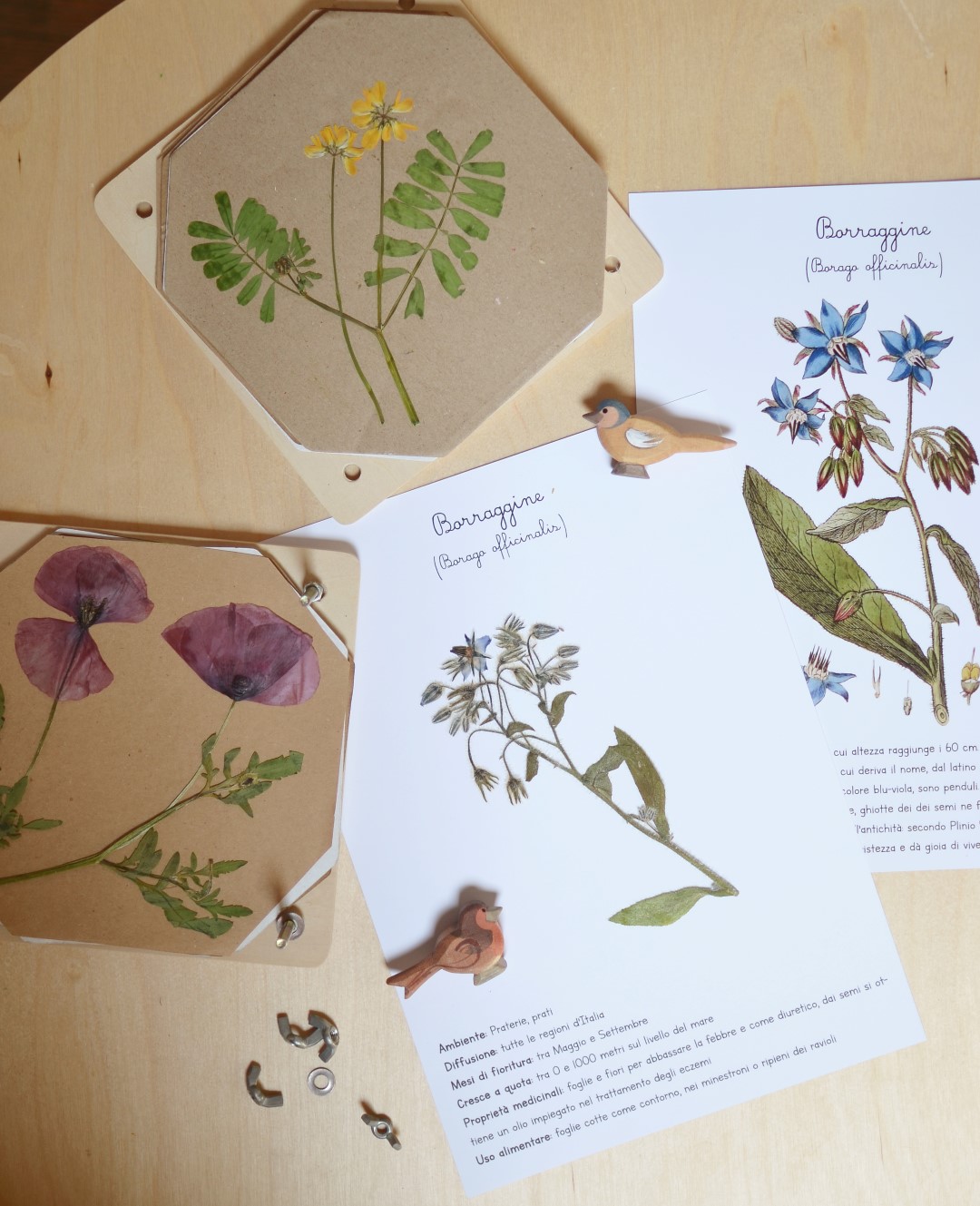 Grapat Flower Meadow fiori legno 18 pezzi