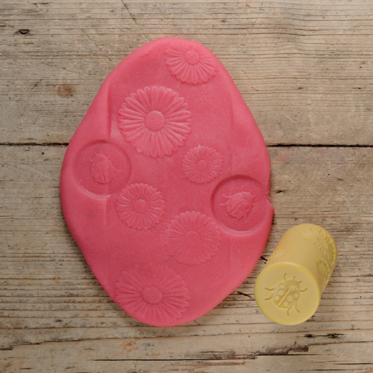 Yellow Door Garden Bugs rulli sensoriali 6 pezzi