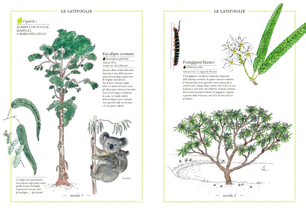 L'Ippocampo Inventario Alberi libro illustrato 72 pagine
