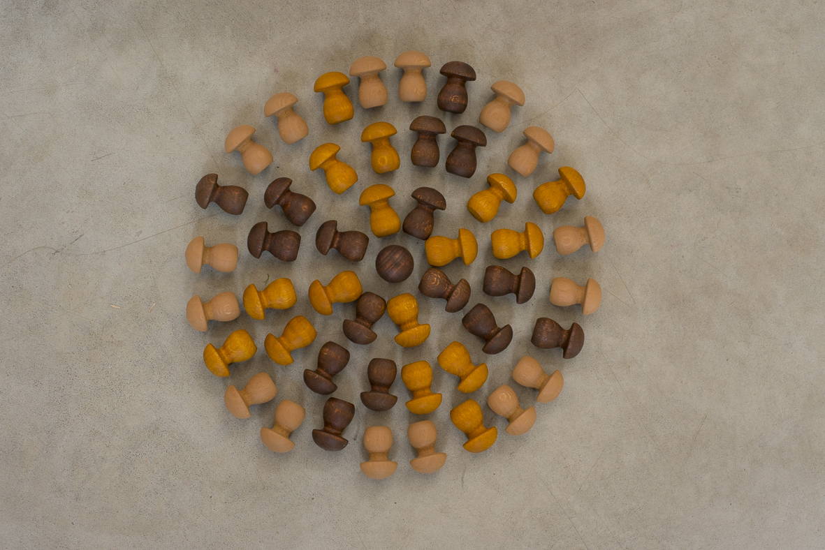 Grapat Mandala Funghi marrone gioco in legno 36 pezzi