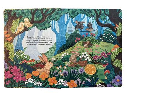 Emme Edizioni Chi si nasconde nella foresta? libro con alette rigido