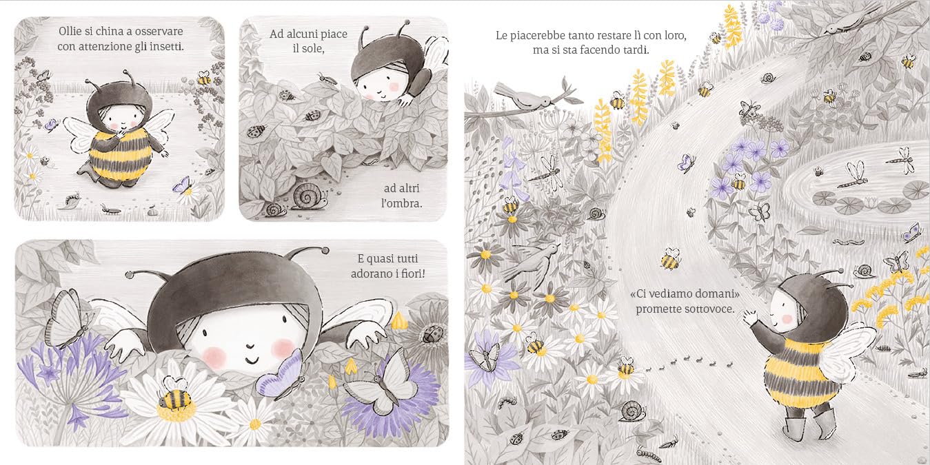 Nord-Sud Ollie segreto dei fiori albo illustrato 32 pagine