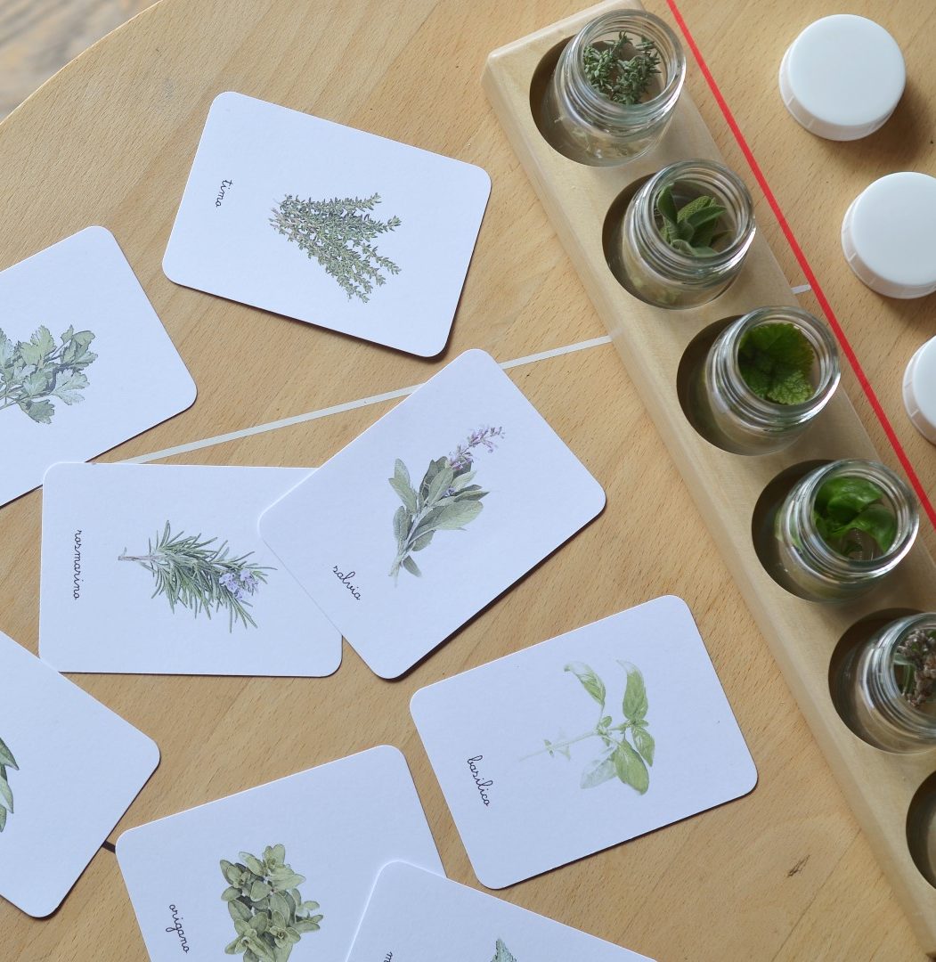 Baboo Erbe aromatiche carte nomenclature montessori pdf