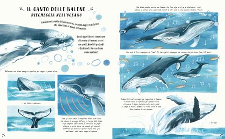Giunti Piano piano Nelle meraviglie del mondo libro 40 storie