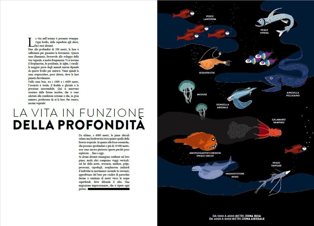 L’Ippocampo Oceano libro animato tagli laser 48 pagine