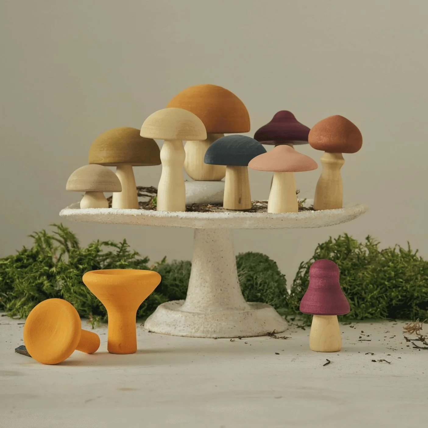 Raduga Grez Autumn Mushroom set 11 funghi in legno tiglio