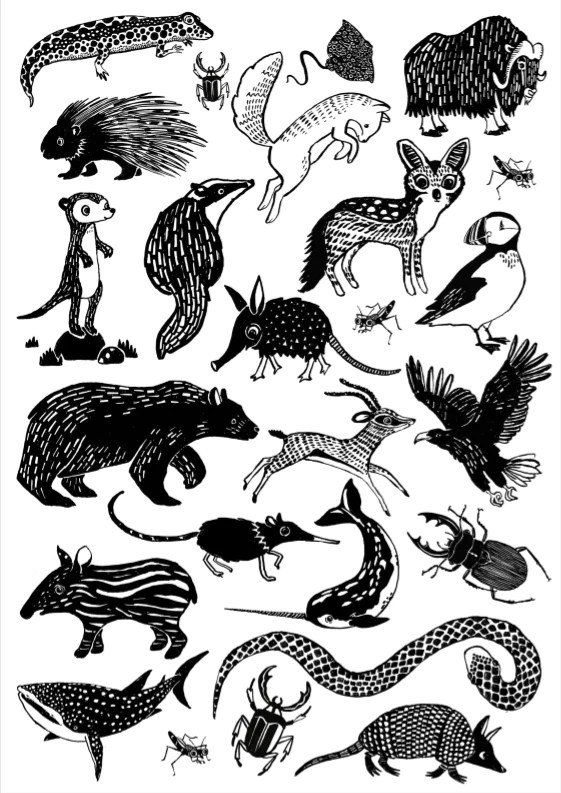 Petit Monkey Black Animal tatuaggi bambini 2 fogli