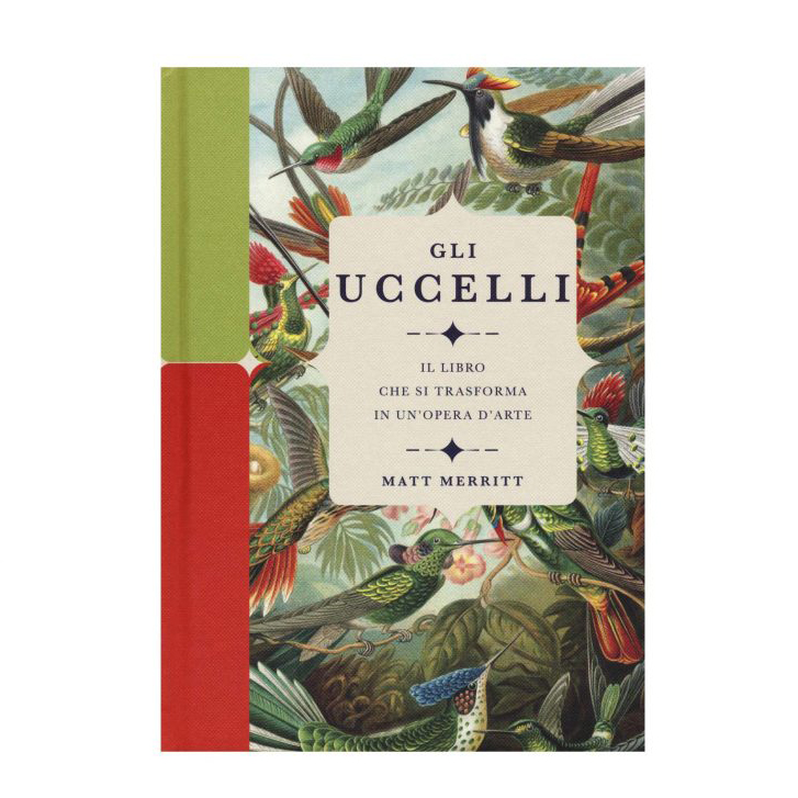 Uccelli libro che si trasforma in opera d'arte bambini