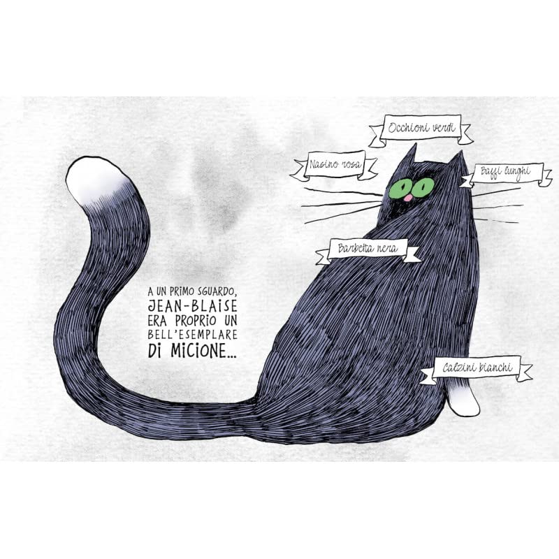 Logos Jean-Blaise Il gatto che si credeva un uccello libro 72 pagine dai 6 anni