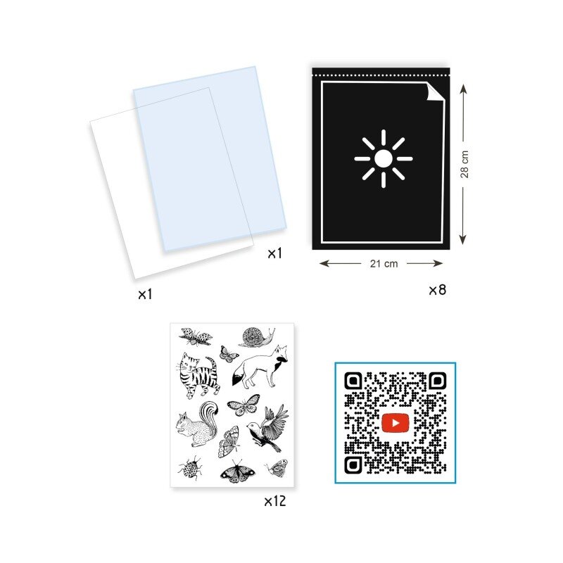 Djeco Cianotipia Starter kit artistico sole 8 fogli