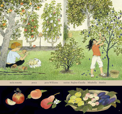 Babalibri La festa dei frutti libro rilegato 3-6 anni