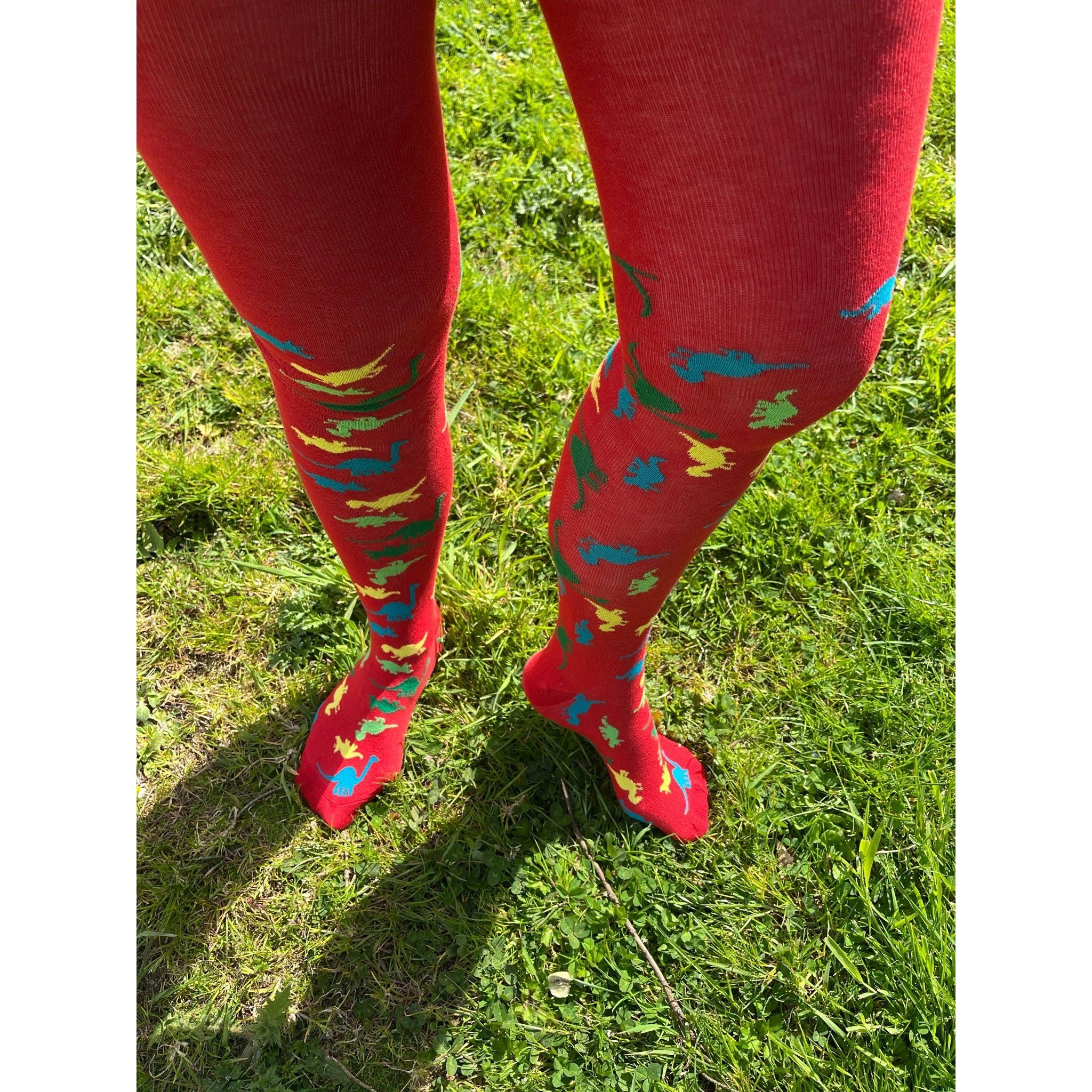 Slugs & Snails Dino collant adulto dinosauri M-L