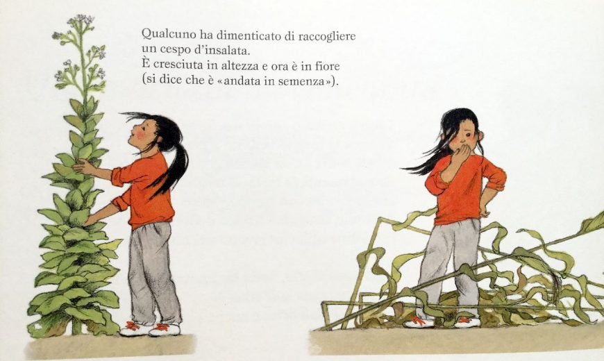 Babalibri La vita segreta dell'orto libro 40 pagine 29x27 cm