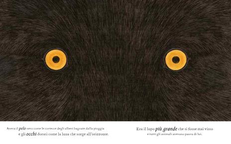 Gallucci Il Segreto del Lupo libro illustrato 48 pagine