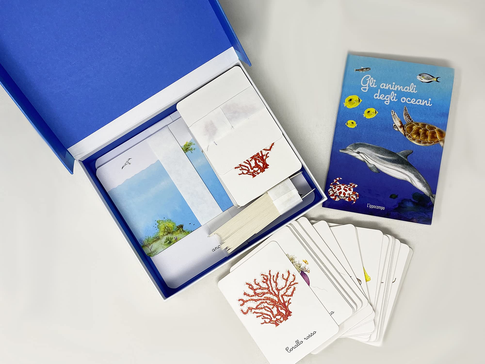 L'Ippocampo Cofanetto Montessori Oceani con Carte e Libro