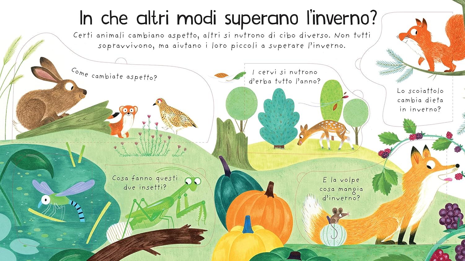 Usborne Dove vanno d’inverno gli animali? libro con alette