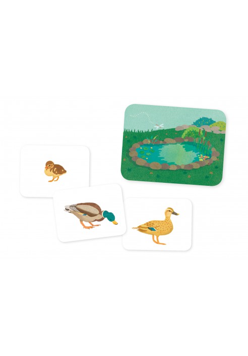L’Ippocampo Piccoli Montessori Animali Fattoria carte 32 pezzi