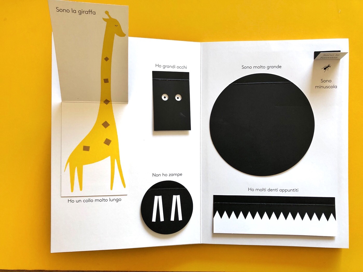 Timpetill I miei piccoli giochi libro animato