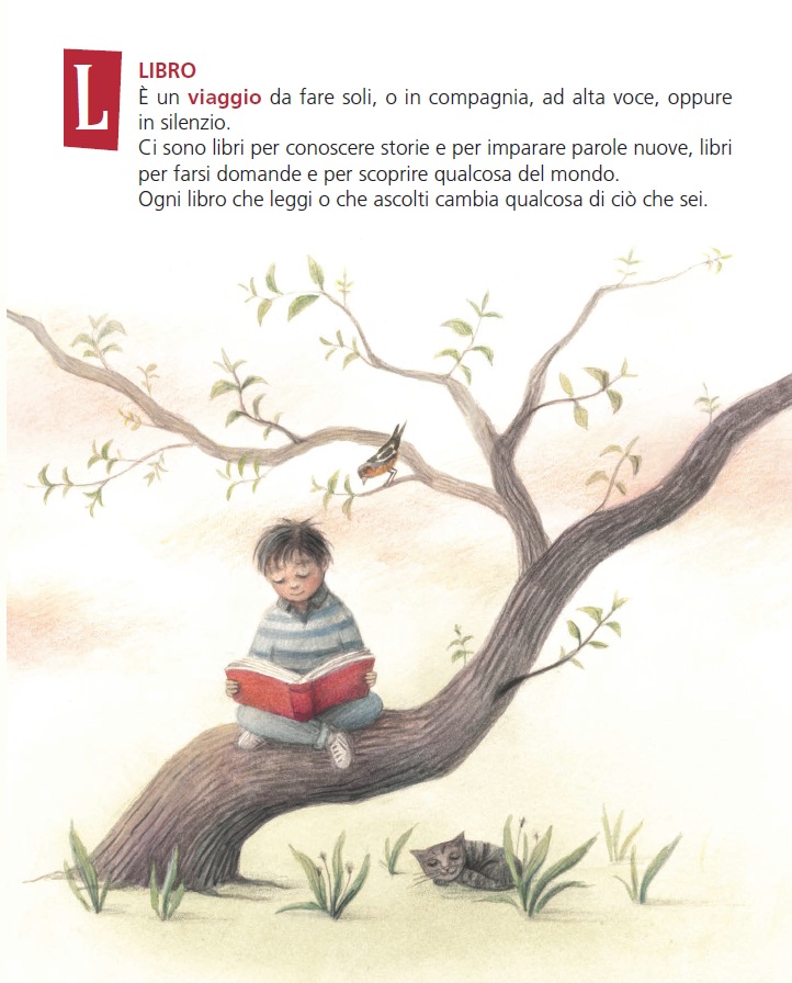 Le piccole e grandi cose della scuola libro