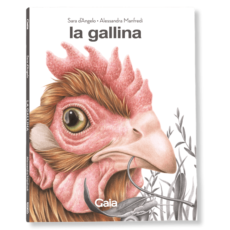 Logos La Gallina Libro Illustrato 72 Pagine dai 6 Anni