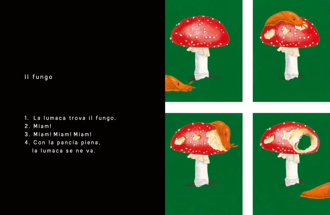 L'Ippocampo In 4 Tempi libro bambini cartonato