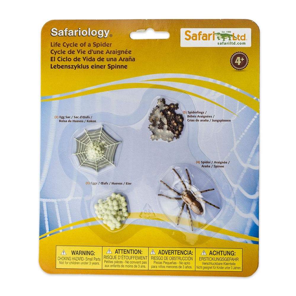 Safari Ltd ciclo vita ragno figure 4 stadi resina
