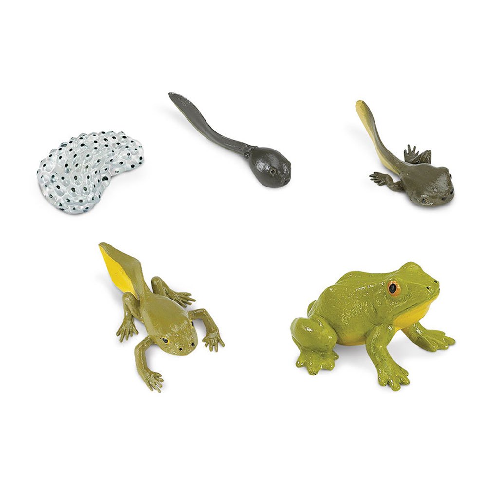 Safari Ltd Safariology ciclo rana figure 4 pezzi