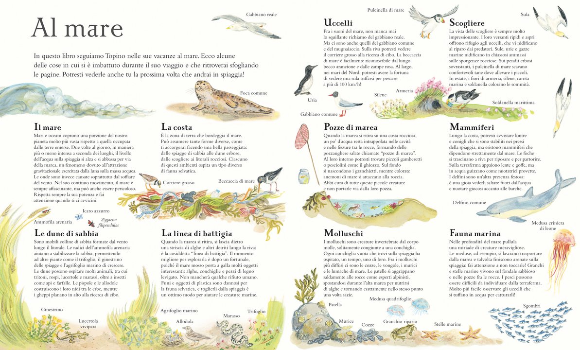 Ippocampo Il mare di Topino libro finestrelle 3-6 anni