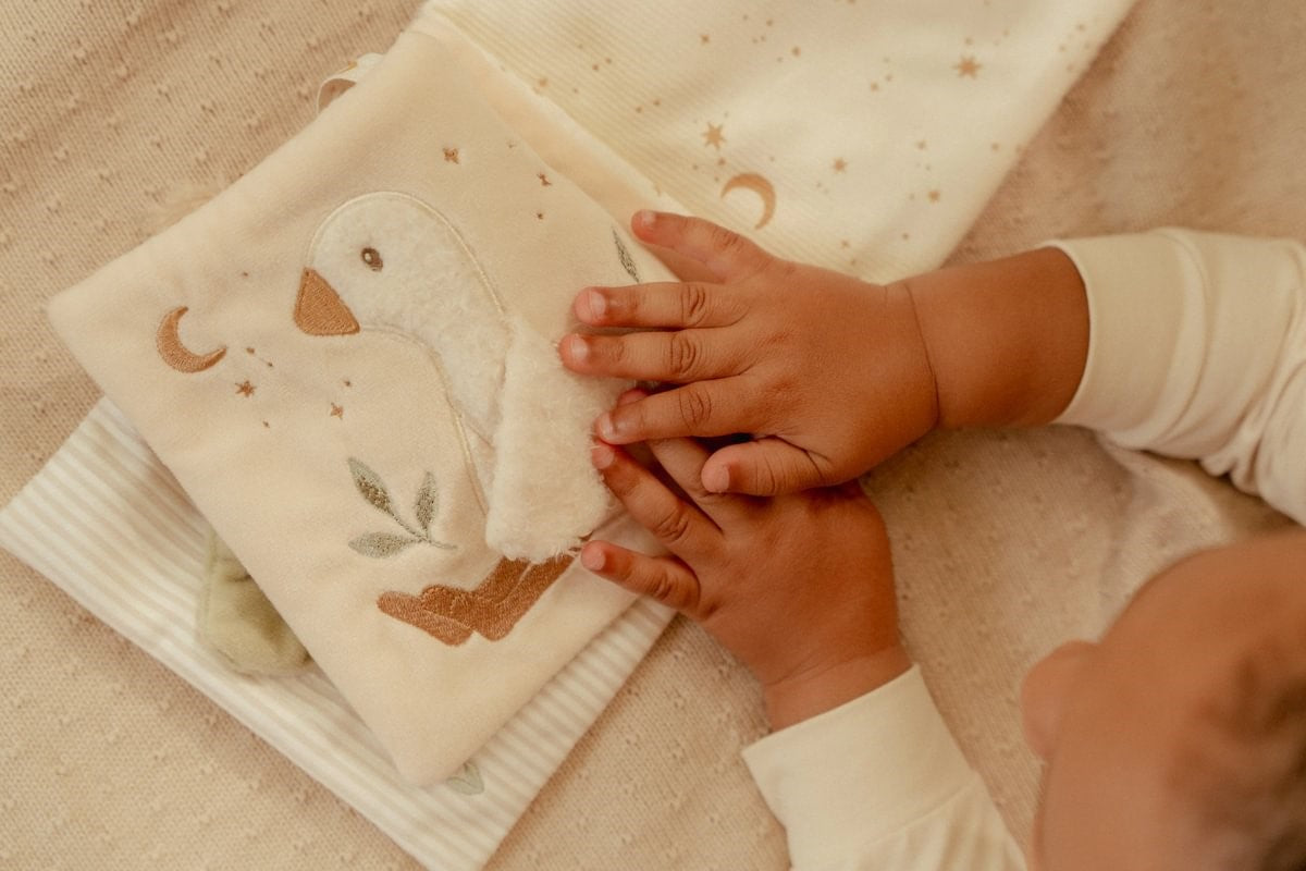 Little Dutch Piccola Oca libro morbido attività neonato