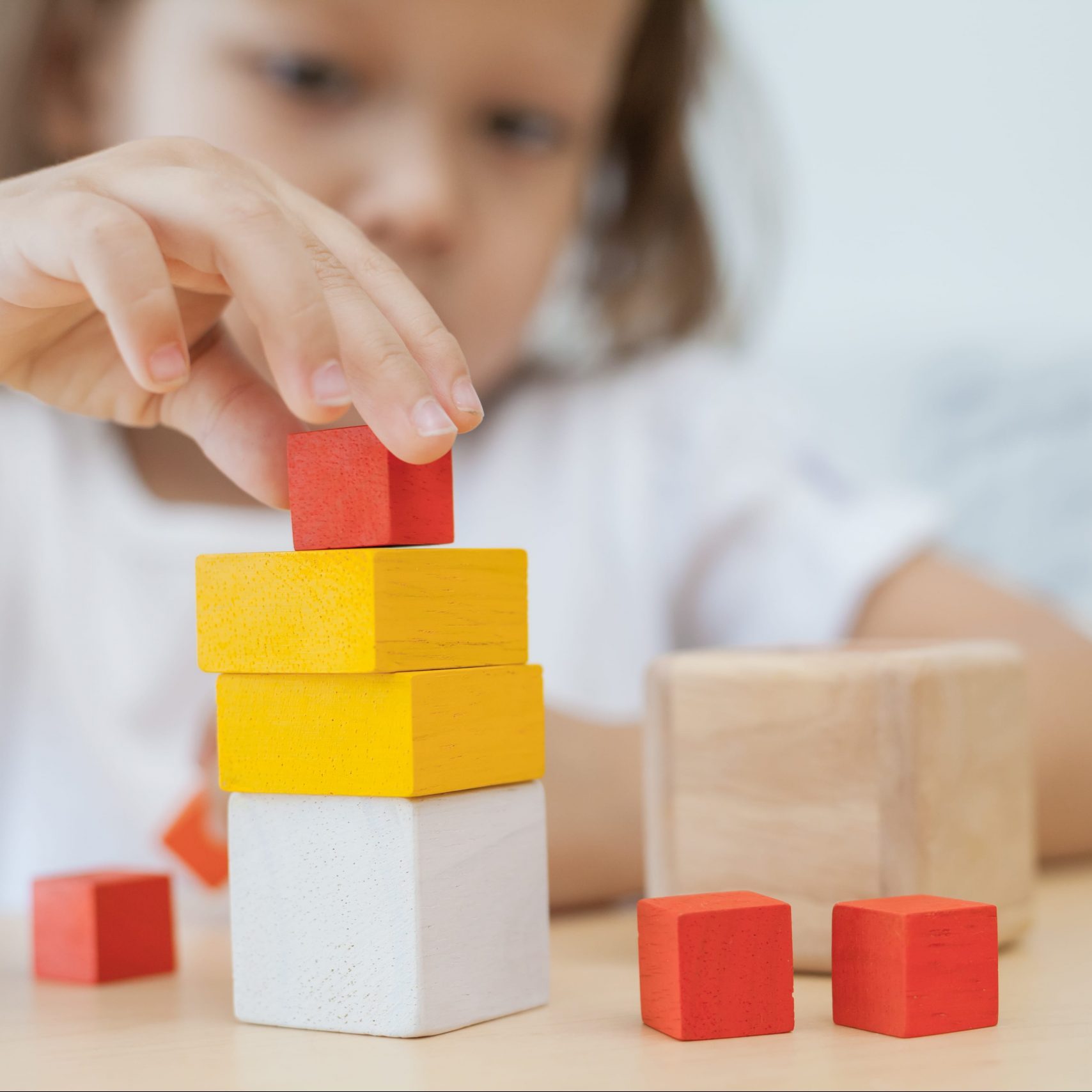 Plan Toys Fraction Cubes gioco frazioni legno
