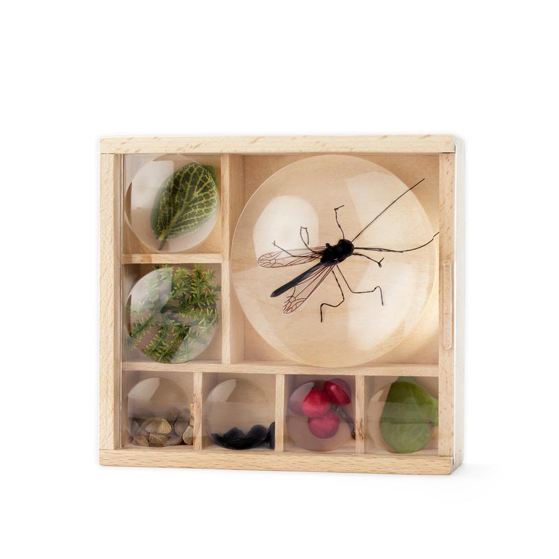 Huckleberry Bug Box teca osservazione legno 11x12 cm