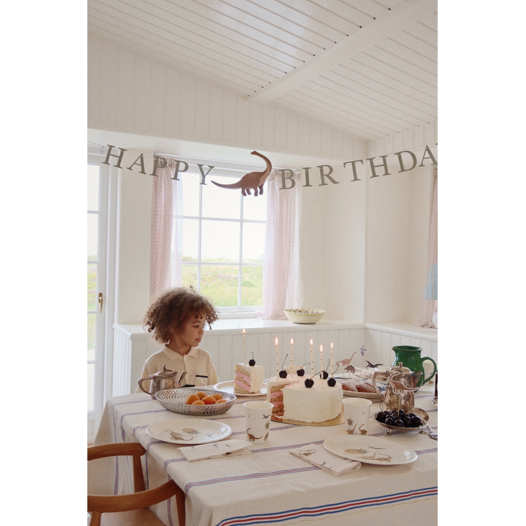 Konges Slojd Dino kit decorazioni compleanno carta