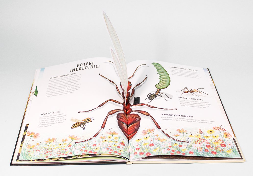 L'Ippocampo Regni Minuscoli libro insetti 64 pagine da 6 anni