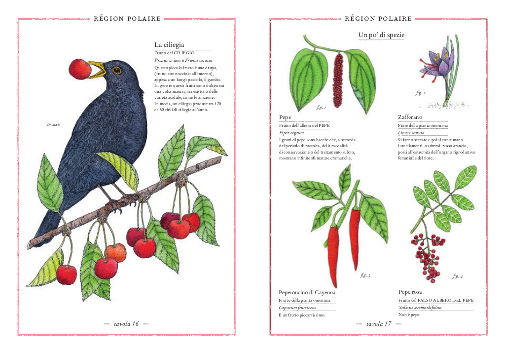L'Ippocampo Inventario Illustrato Frutti e Ortaggi libro cartonato 6-9 anni