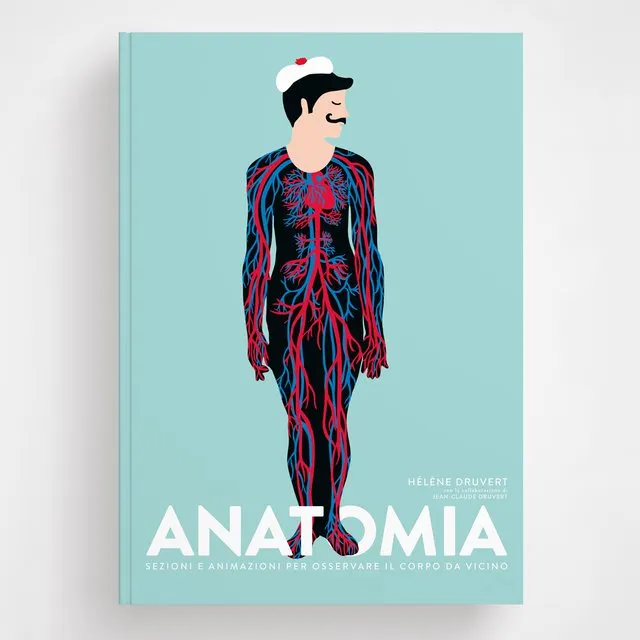 Ippocampo Anatomia libro corpo con finestrelle 8 anni