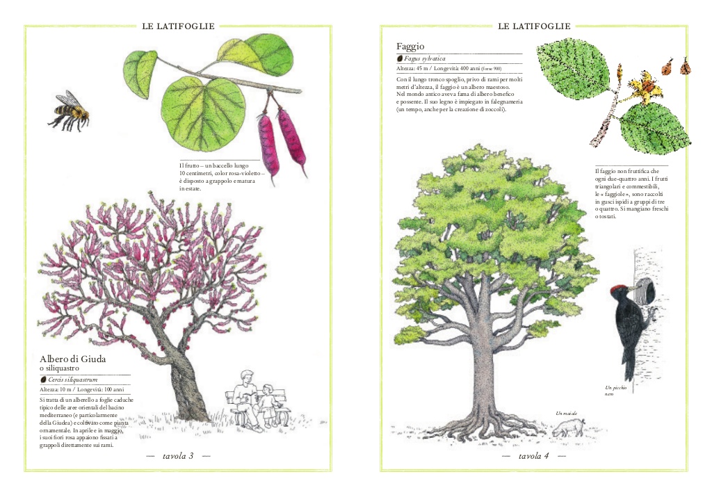 L'Ippocampo Inventario Alberi libro illustrato 72 pagine