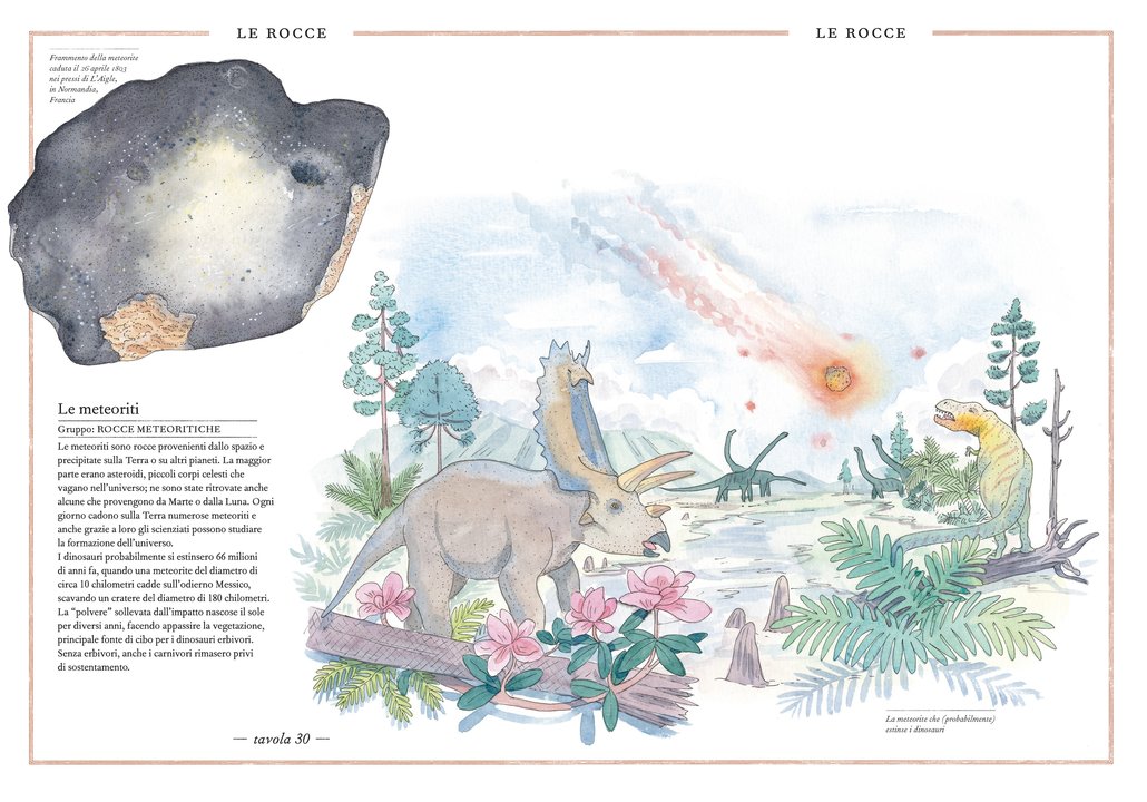 L'Ippocampo Inventario minerali libro da 6 anni